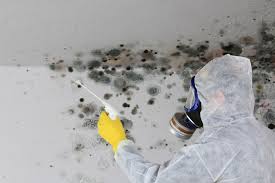 Best Air Quality Testing for Mold Spores  in White Oak, OH